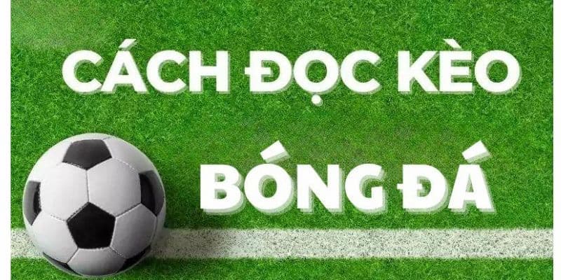 Hướng dẫn cách đọc kèo bóng đá Kèo châu Âu - Hướng dẫn cách đọc kèo bóng đá 1x2