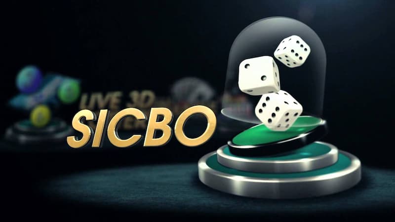 Trò chơi tài xỉu cho người mới Trò chơi tài xỉu cho người mới